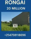 Rongai